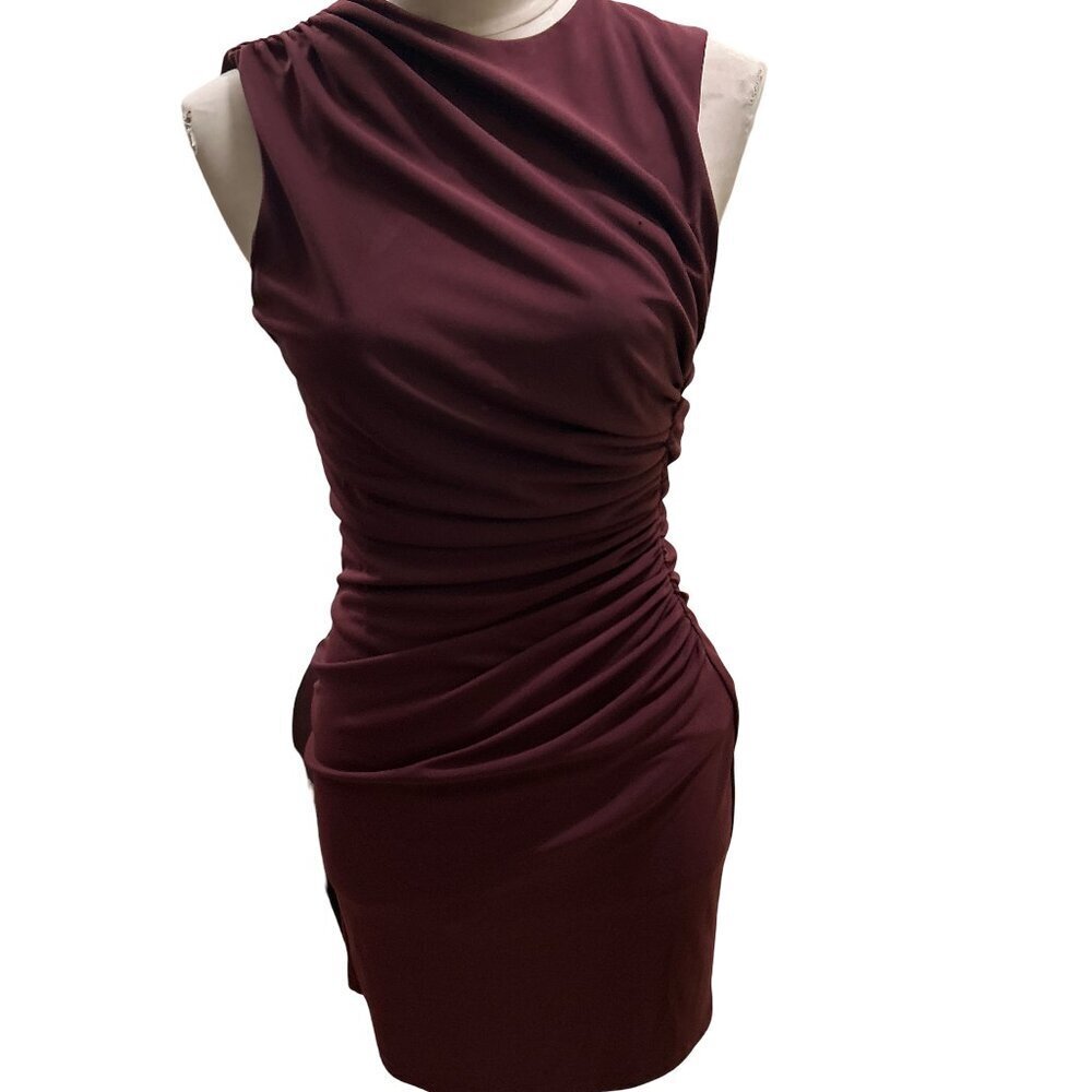 Zara Women's Sleeveless Ruched Bodice Dress Minimalism Deep Plum Size Small